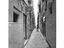 Immagine 7
