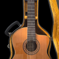 Chitarra classica Takamine EC132SC