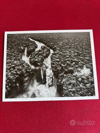 Sebastião Salgado - Waterfalls of Ichun-Prarara