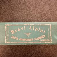 Armonica Bravi Alpini M. Hohner