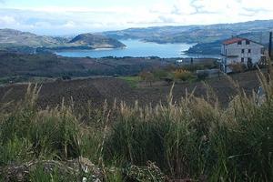 Terreno edificabile a Guardialfiera
