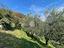 Immagine 18