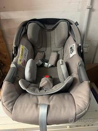 Ovetto inglesina darwin infant