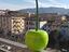 Immagine 1