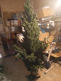 ALBERO DI NATALE 