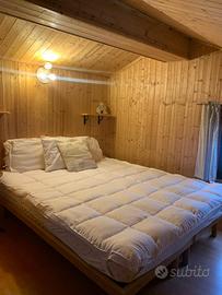 Settimane verdi e bianche a Timau di Paluzza