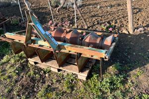 Assolcatore con rullo per ortaggi