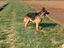 Immagine 4