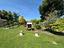 Immagine 26