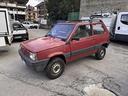 fiat-panda-1100-i-e-cat-4x4-trekking-2-modelli