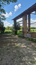 Cascina con ampio giardino e portico