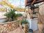 Immagine 12