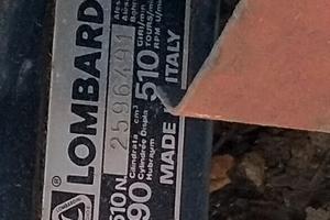 Motore Lombardini  € 300