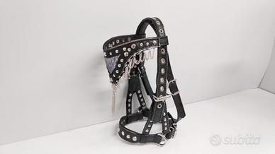 Capezza pony - cavallo