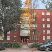 TRILOCALE CON TERRAZZO DI 50 MQ IN PEDAGNA OVEST