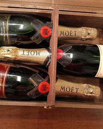 Collezione champagne Moet&Chandon