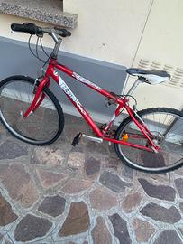 Bicicletta