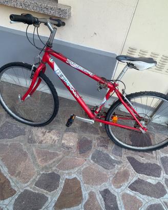 Bicicletta