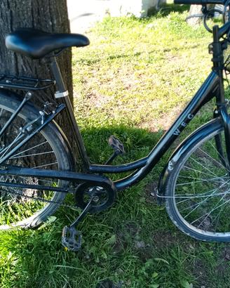 bicicletta weg