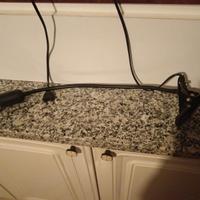 lampada UV 5.0 tartarughe rettili