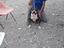 Immagine 3