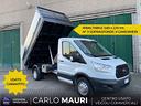 ford-transit-350-ribaltabile-per-giardinier-
