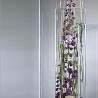 Vaso cilindro vetro gigante nuovo