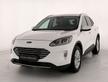 Ford Kuga 1.5 ecoblue titanium 2wd 120cv