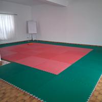 Palestra con tatami già presenti