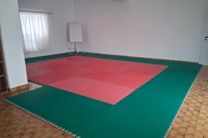 Palestra con tatami già presenti
