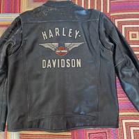 Giacca pelle Harley-Davidson uomo 