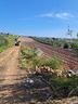 ter-agricolo-a-mazara-del-vallo