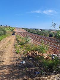 TER. AGRICOLO A MAZARA DEL VALLO