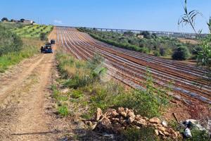 TER. AGRICOLO A MAZARA DEL VALLO