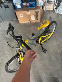 Bicicletta