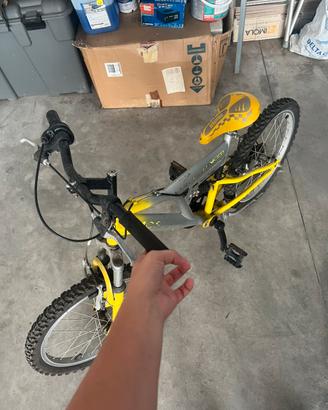 Bicicletta