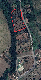 Terreno pianeggiante