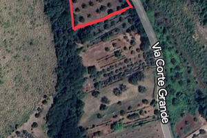 Terreno pianeggiante