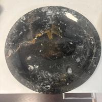 Piatto con fossili