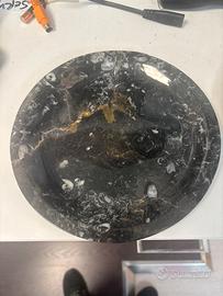 Piatto con fossili