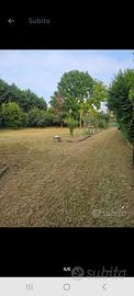 terreno agricolo in chieri