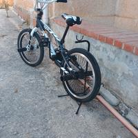 BMX aurelia