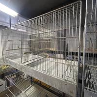 Gabbia per uccellini