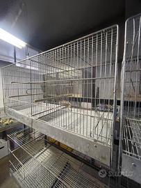 Gabbia per uccellini