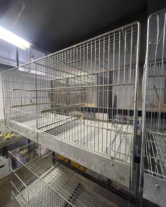 Gabbia per uccellini