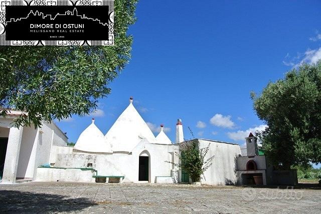 COMPLESSO IMMOBILIARE con TRULLO, LAMIE, VILLA - View 2