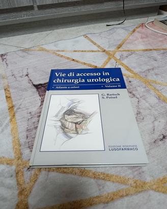 Vie di accesso in chirurgia urologica 