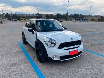 Mini Countryman S All4 Automatica Interni Pelle