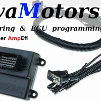 Ecu Centralina Programmabile Microsquirt