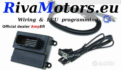 Ecu Centralina Programmabile Microsquirt